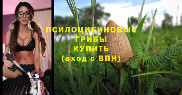 jwh Алзамай