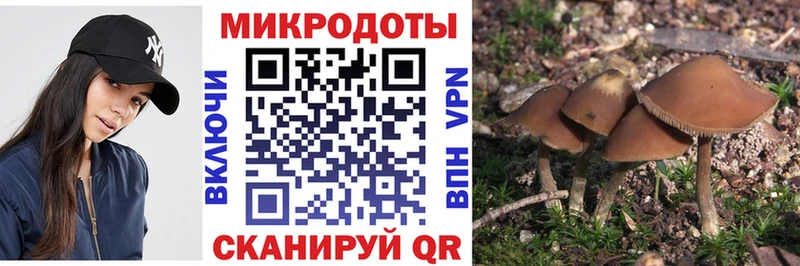 закладка  Санкт-Петербург  Галлюциногенные грибы MAGIC MUSHROOMS 